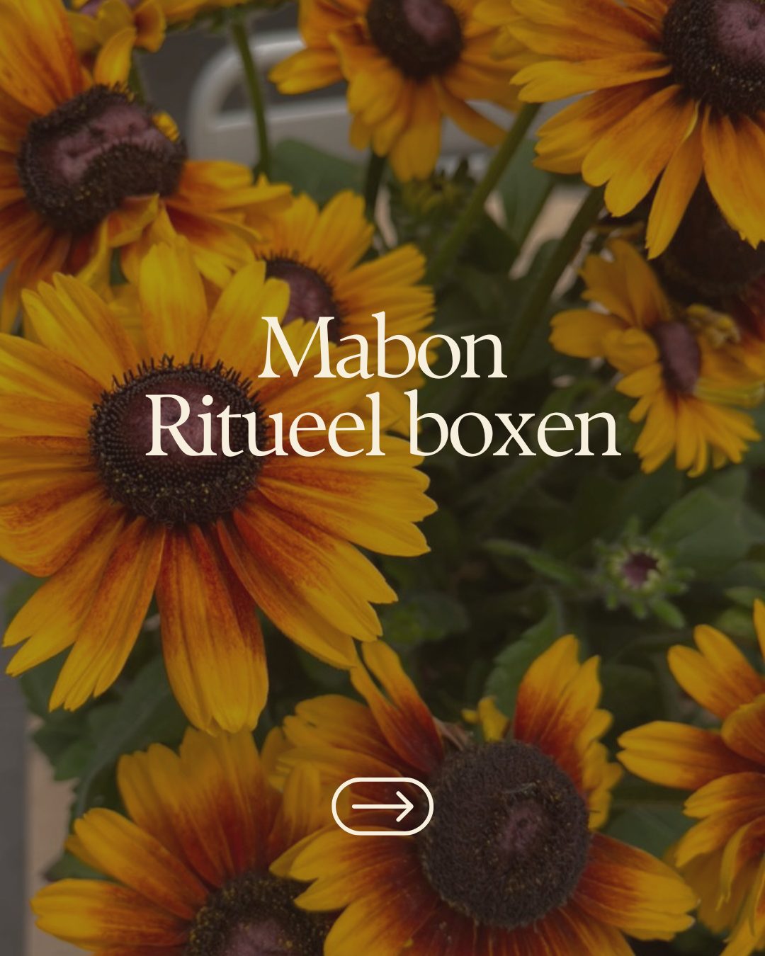 Limited edition - Mabon ritueel box (verzending/afhalen vanaf 15/9