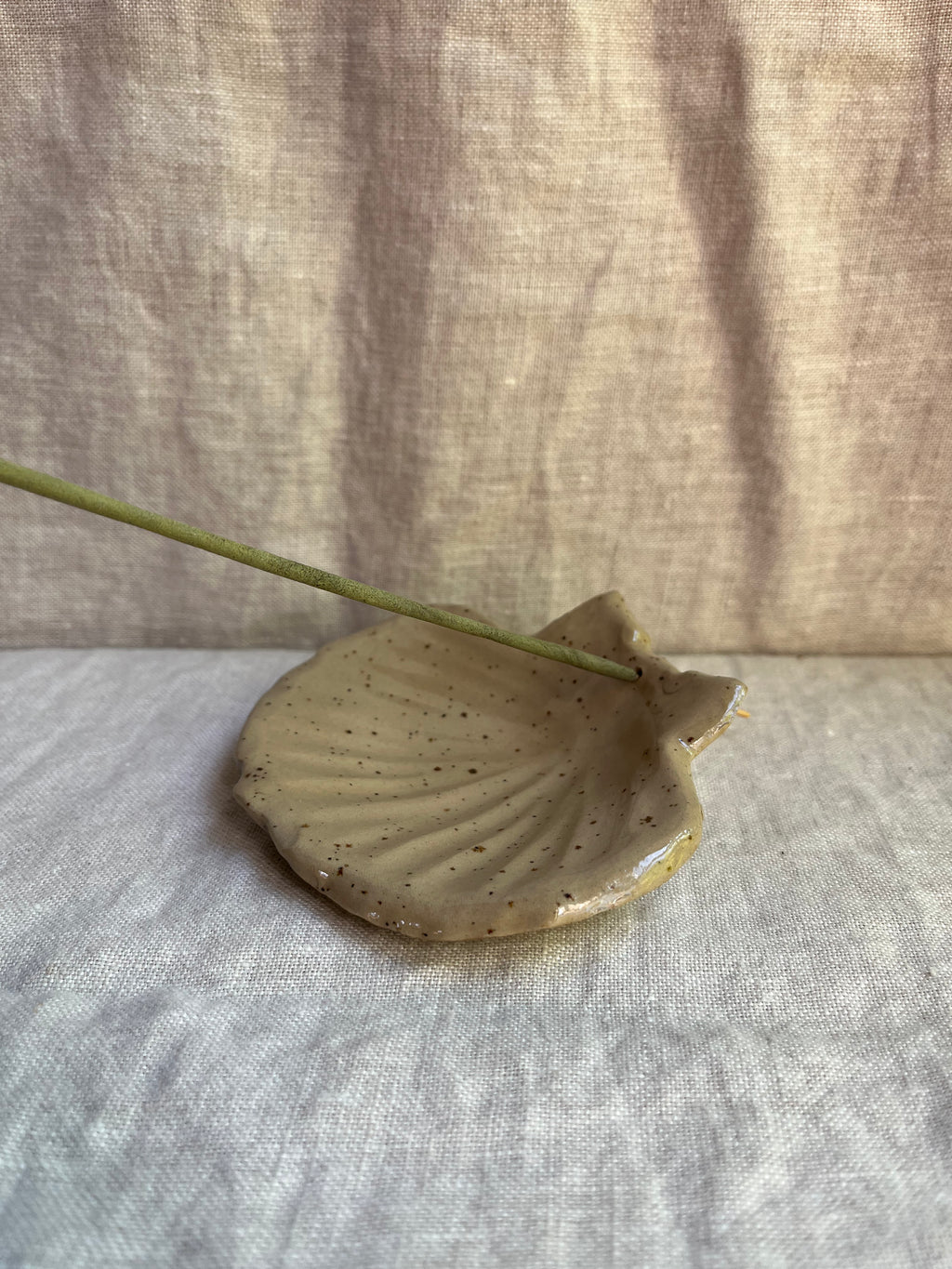 Schelp altaar - Beige spikkel