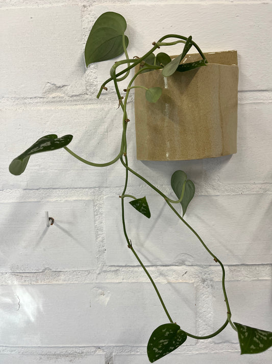 Wandvaasje beige
